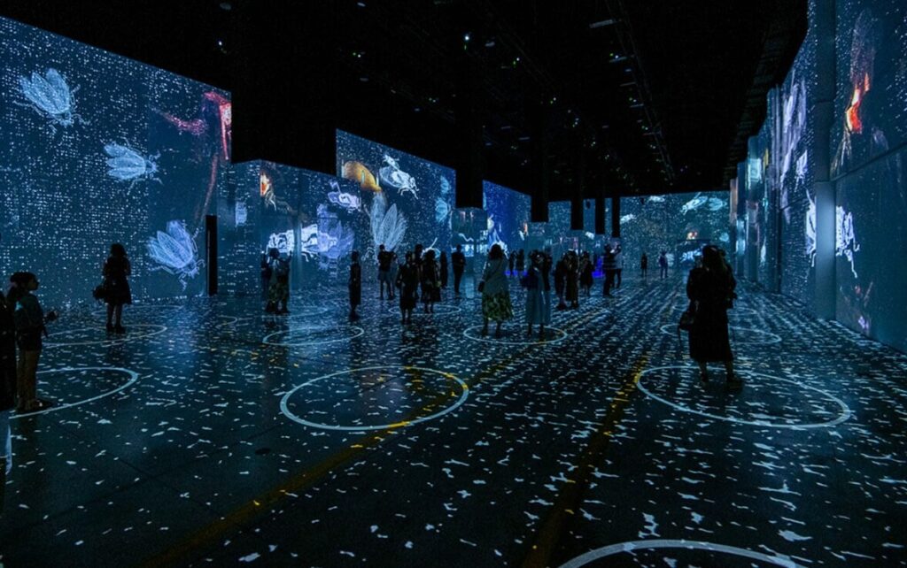 immersive exhibition