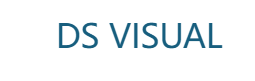 DSVisual