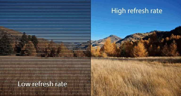 Refresh Rate & Grayscale Performance Comparison