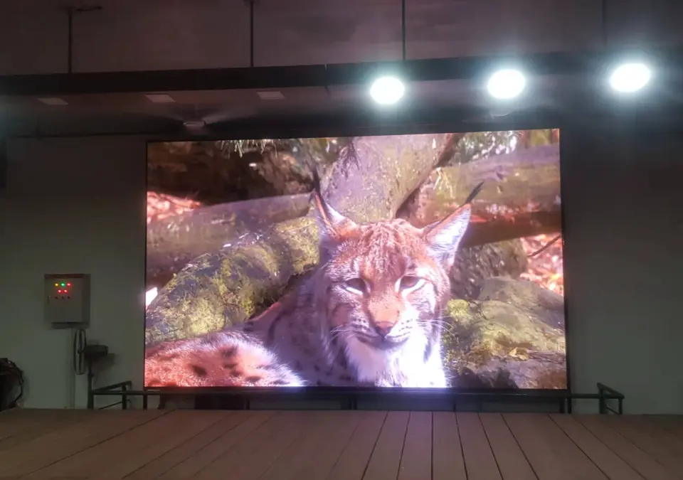 How Should You Compare LED Video Wall Rental Companies in Canada
