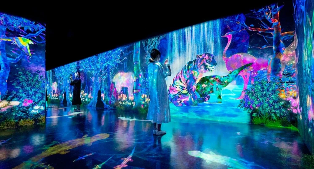immersive exhibition display